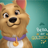 Dein goldiger Hund